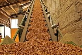 Une nouvelle usine de granulés de bois de 14,5 millions de dollars à Binh Dinh