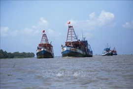 Pêche INN : Kien Giang déterminée à lever le "carton jaune" de la Commission européenne