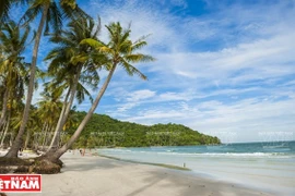 Presse allemande : le Vietnam est l'un des plus beaux pays d'Asie
