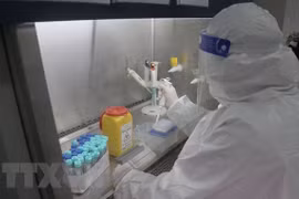 COVID-19 : Hô Chi Minh-Ville détecte trois premiers cas d’infection locale du variant Omicron