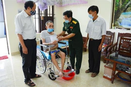 Améliorer l'efficacité du traitement des maladies et affections liées à l'agent orange/dioxine