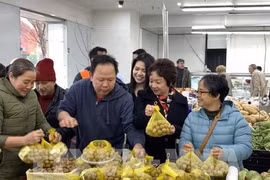 Signes positifs pour les exportations nationales de produits agricoles