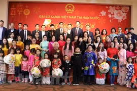 Célébration du Têt du Cochon en République de Corée et au Cambodge