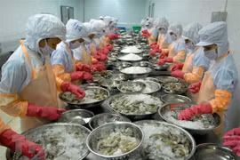 Faire du Vietnam un pôle mondial de transformation des produits aquatiques