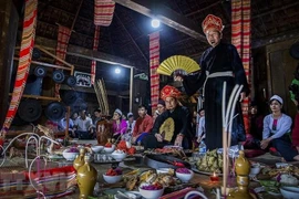 Hanoï prépare le dossier de candidature du Mo Muong à soumettre à l'UNESCO