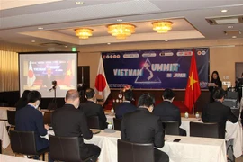 Des intellectuels vietnamiens au Japon discutent du développement national post-COVID-19