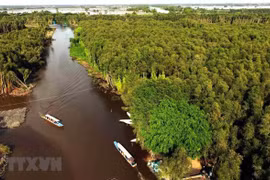 Journée mondiale de l'environnement: Conservation des écosystèmes dans le delta du Mékong