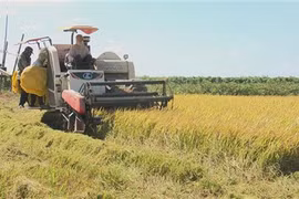 Garantir la production agricole et le revenu des paysans