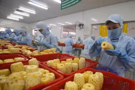 Fruits et légumes : le pays cible 10 milliards de dollars d'exportations d’ici 2030