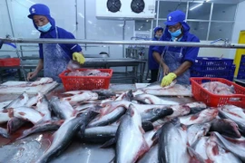 Produits aquatiques: Promouvoir les exportations vietnamiennes vers le Royaume-Uni
