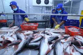 Produits aquatiques: Promouvoir les exportations vietnamiennes vers le Royaume-Uni