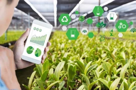 L’application de technologies favorise le développement des produits agricoles vietnamiens