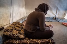 Conseil de sécurité : Le Vietnam salue les activités d’enquête des crimes terroristes de l’UNITAD