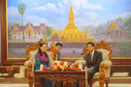 Une délégation de Ho Chi Minh-Ville en visite au Laos