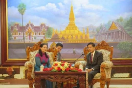 Une délégation de Ho Chi Minh-Ville en visite au Laos
