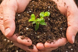 Le secteur agricole fixe l’objectif de 25% d'engrais organiques d’ici 2025