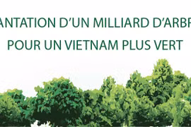Plantation d’un milliard d’arbres pour un vietnam plus vert