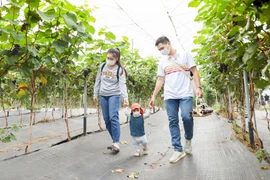 Hanoï cherche à développer l’agriculture écologique liée au tourisme