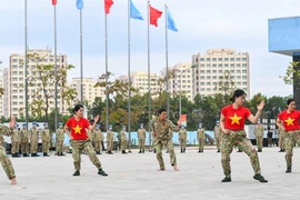 Démonstration d’arts martiaux de casques bleus vietnamiens 