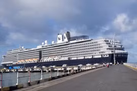 COVID-19 : Les derniers passagers du MS Westerdam quittent le paquebot