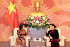 Vietnam-Cambodge : intensification des relations entre organes législatifs 