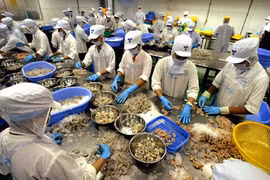 Vietnam-Afrique du Sud : le commerce bilatéral devrait atteindre 1,3 milliard de dollars en 2022