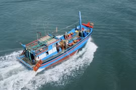 Pour retirer le "carton jaune" INN : Des mesures plus drastiques contre la pêche illégale à Ben Tre