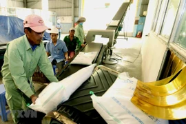 Riz: les exportations en dix mois en hausse en volume mais en recul en valeur