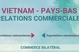 Relations commerciales Vietnam - Pays-Bas