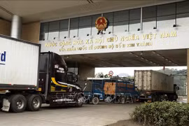Les échanges commerciaux via les portes frontalières de Lao Cai en hausse de 42%