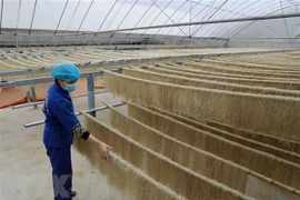 Le pays compte 3.200 nouveaux produits OCOP