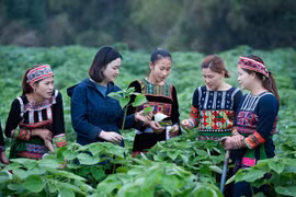 Le Vietnam s'emploie à garantir l'égalité des sexes dans les minorités ethniques
