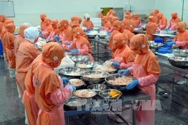 Le Vietnam confronté à la concurrence indienne dans les exportations de produits aquatiques