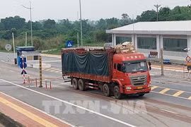 Quang Ninh : la porte frontalière de Mong Cai traite 45.300 tonnes de fret depuis sa réouverture