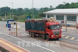 Quang Ninh : la porte frontalière de Mong Cai traite 45.300 tonnes de fret depuis sa réouverture
