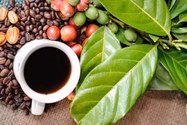 Le festival du café Buon Ma Thuot 2023 prévu en mars prochain