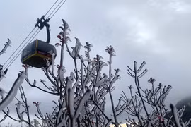 Lao Cai: les températures chutent, du givre apparaît au mont Fansipan