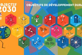 La BAD aide le Vietnam à assurer un environnement durable