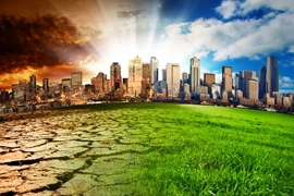 Le premier réseau d’affaires résilient au changement climatique au Vietnam voit le jour