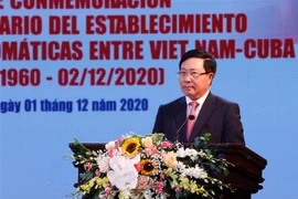 Meeting en l’honneur du 60e anniversaire des relations diplomatiques Vietnam-Cuba