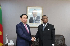Le vice-Premier ministre Vuong Dinh Hue en visite de travail au Cameroun