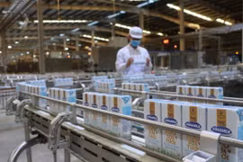 Vinamilk importera 1.000-1.200 vaches des États-Unis