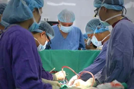 La transplantation d’organes, une réussite du secteur de la santé vietnamien