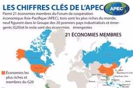 LES CHIFFRES CLÉS DE L’APEC