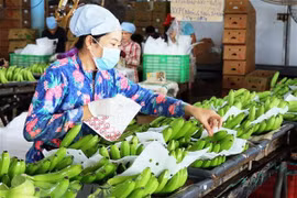 Plus de 1,6 milliard de dollars d'exportations de fruits et légumes en cinq mois