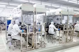 Le Vietnam approuve une stratégie de coopération dans l'investissement étranger d'ici 2030