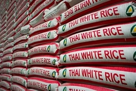 Exportations thaïlandaises de riz en baisse de 21% au premier semestre