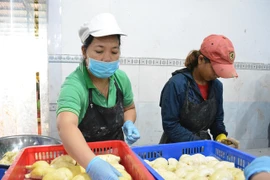 La filière fruitière et maraîchère vise 4 milliards de dollars d'exportations cette année