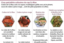 Cinq spécialités culinaires du cap Ca Mau 