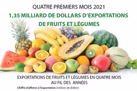 1,35 milliard de dollars d’exportations de fruits et légumes en quatre mois 